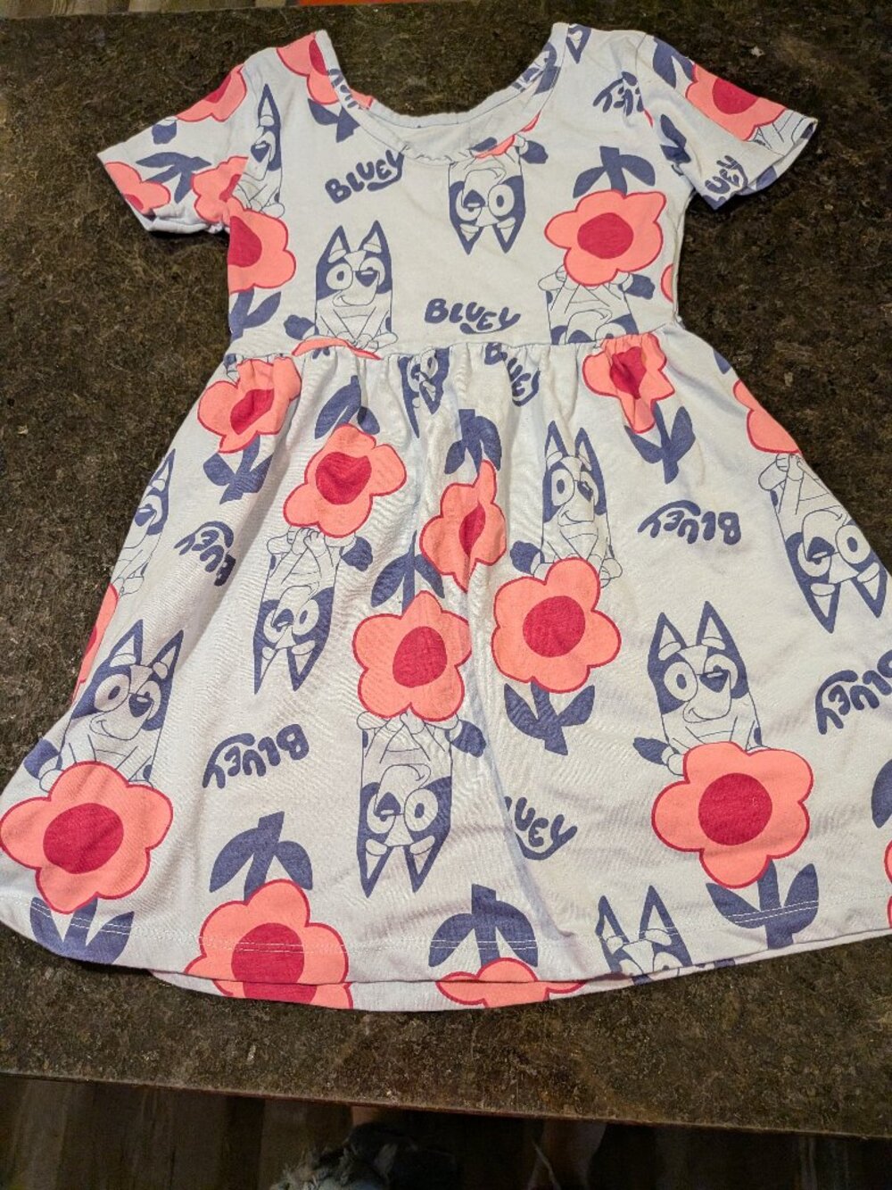 Bluey Dress